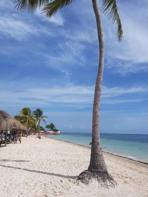 カンクンPlaya Blanca - Moro Blueアパートメント エクステリア 写真
